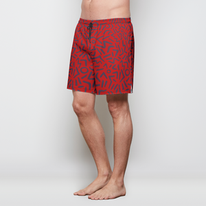 Ziggy Blaze Mens Swim Trunks w/ Lining