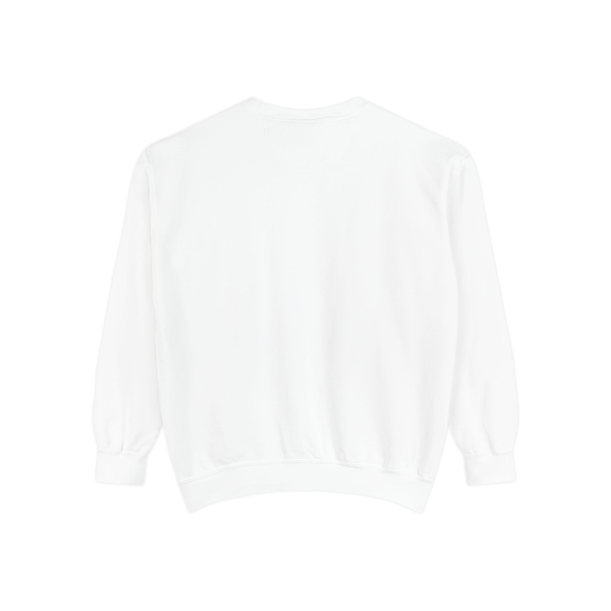 WSB Unisex Garment-Dyed Sweatshirt