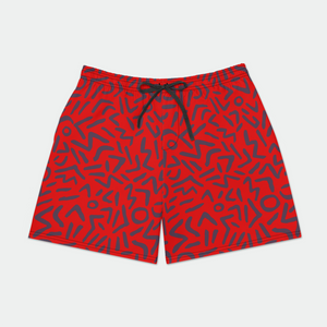 Ziggy Blaze Mens Swim Trunks w/ Lining